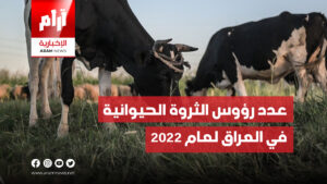 بالأرقام..عدد رؤوس الثروة الحيوانية في العراق لعام 2022