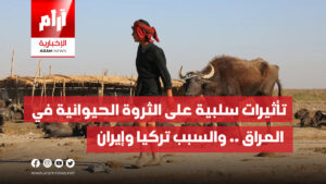تأثيرات سلبية على الثروة الحيوانية في  العراق .. والسبب تركيا وإيران