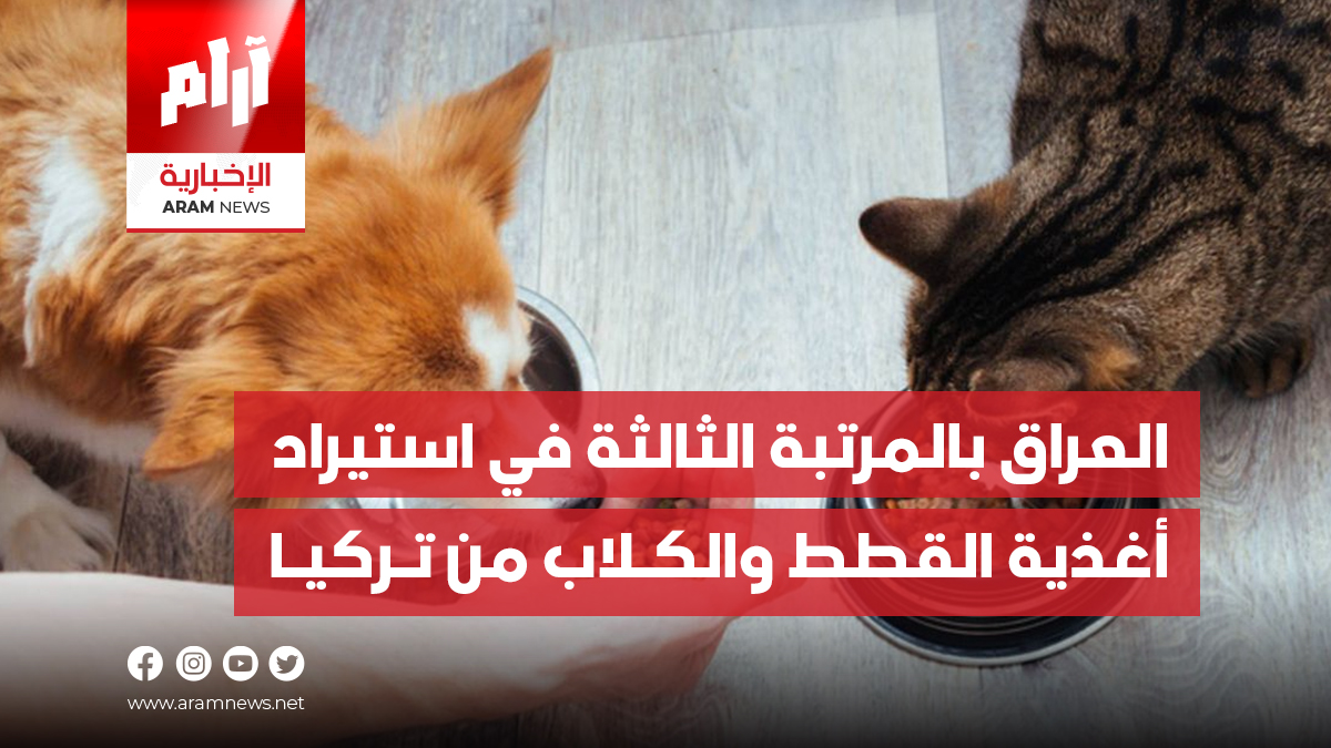 العراق بالمرتبة الثالثة في استيراد أغذية القطط والكـلاب من تـركيـا