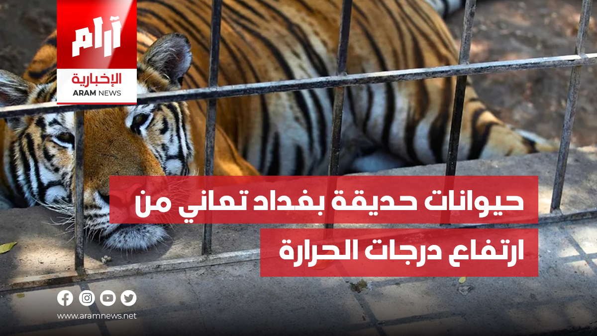 حيوانات حديقة بغداد تعاني من ارتفاع درجات الحرارة