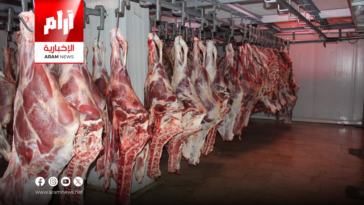 الوزراعة: أصدرنا موافقات باستيراد 17 ألف عجل وارتفاع أسعار اللحوم غير مبرر