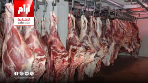 الزراعة تتوقع انخفاض أسعار اللحوم إلى 12 – 15 ألفاً خلال الأيام المقبلة