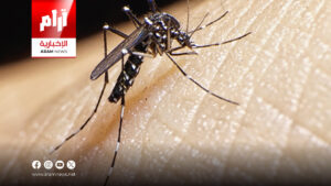 تحذيرات من إصابة نصف سكان العالم بأمراض  “خطيرة” ينقلها البعوض