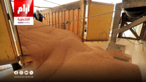 التجارة: نتسلم 100 ألف طن من الحنطة يومياً وواسط تتصدر المحافظات في التسويق
