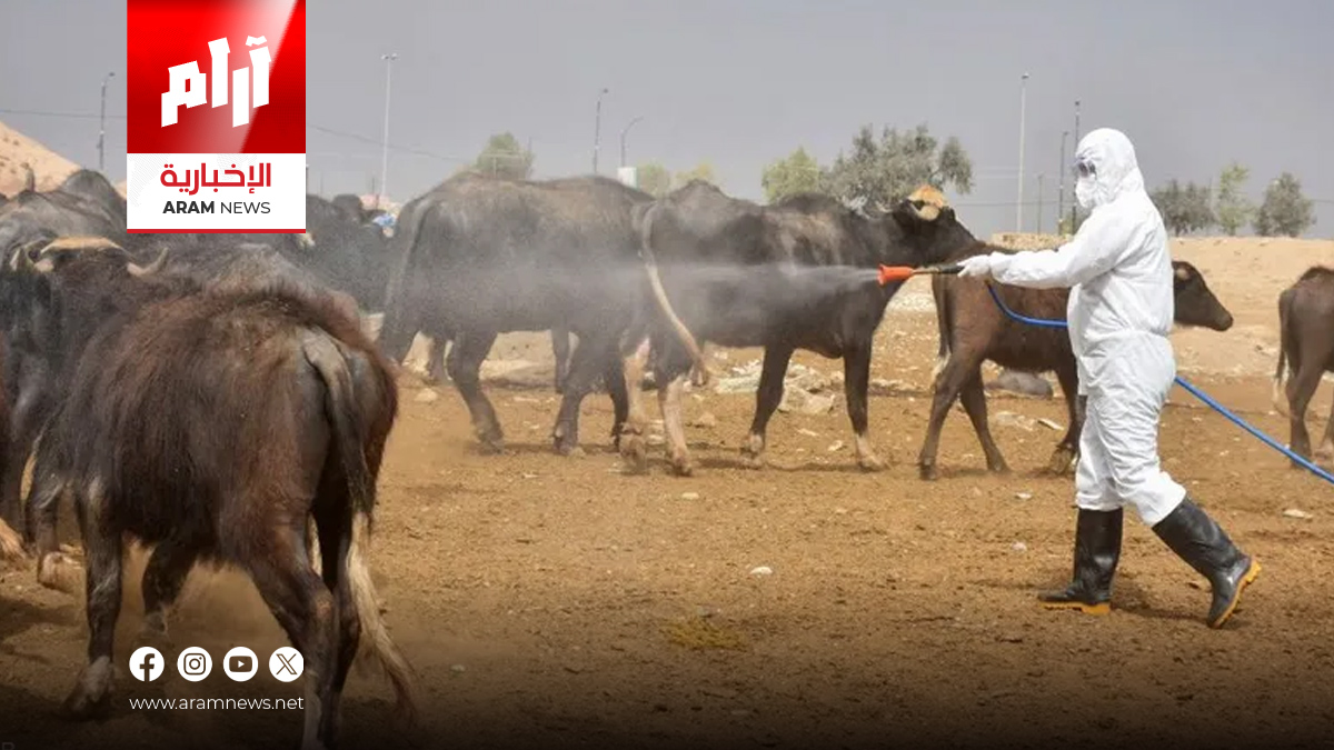 صحة نينوى: 10 إصابات “مؤكدة” بالحمى النزفية منذ مطلع عام 2024