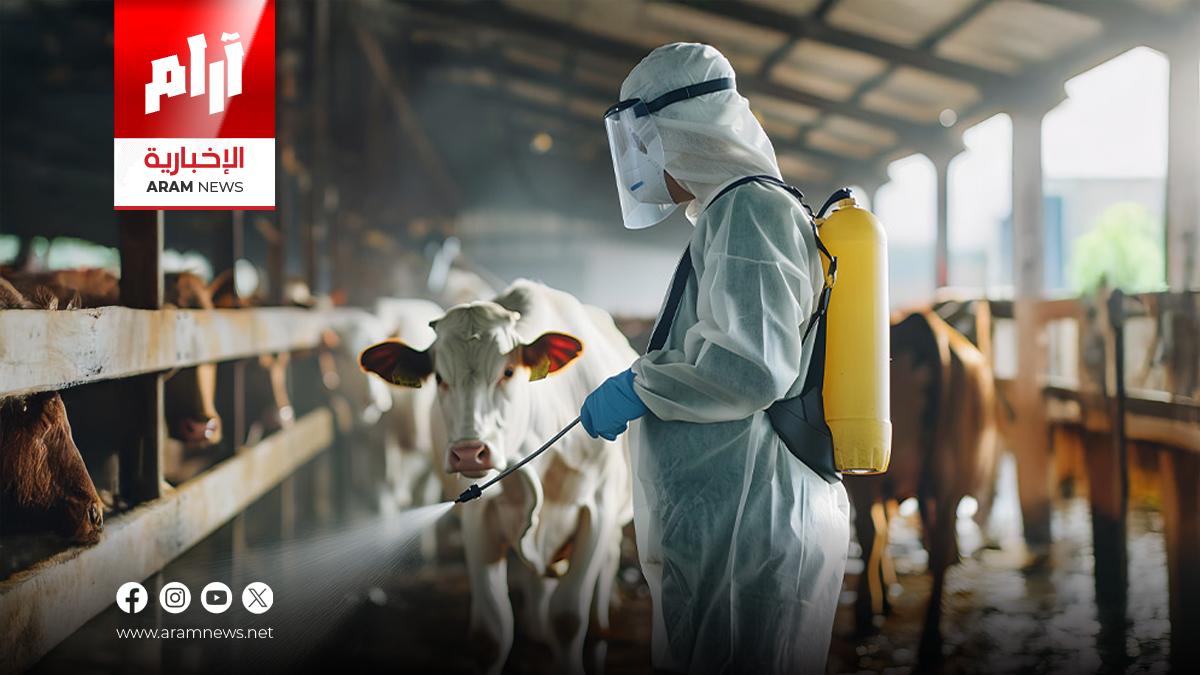 بين الذبح العشوائي وقلة الوعي.. لماذا تعود الحمى النزفية مجدداً؟