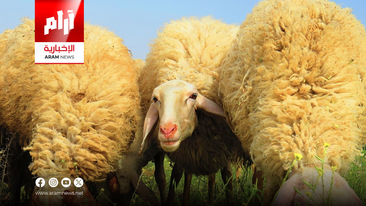 عيدك أجمل باتباع هذه السنن.. لا تفوّتها!