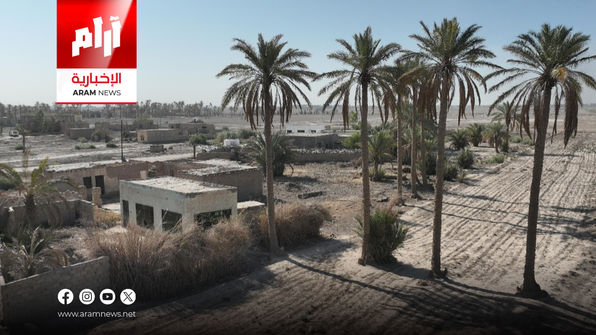 العطش ينهك بابل.. هجرة قسرية للمزارعين ونفوق جماعي للمواشي