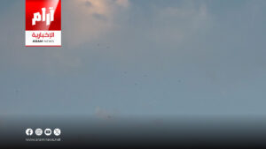 العراق يرصد طائرًا نادرًا مهددًا بالانقراض في الأنبار