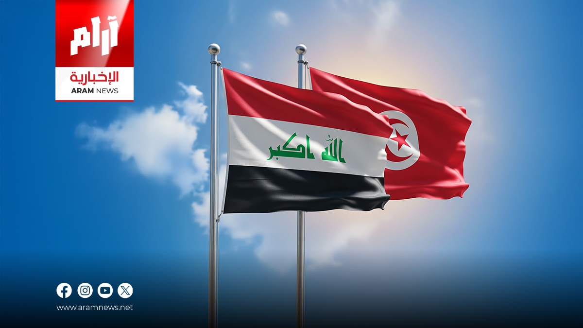 وزير الخارجية يبحث مع نظيره التونسي تعزيز العلاقات بأربعة مجالات