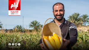 العراق يخصص 500 مليار دينار لصرف مستحقات الفلاحين