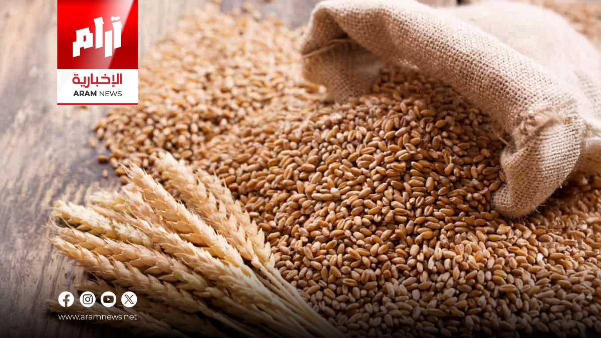 هل تهدد أزمة المياه الأمن الغذائي في العراق؟ خطة الزراعة الجديدة تجيب