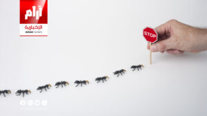 طرق طبيعية فعّالة للتخلص من النمل في المنزل دون استخدام المبيدات طرق طبيعية فعّالة للتخلص من النمل في المنزل دون استخدام المبيدات