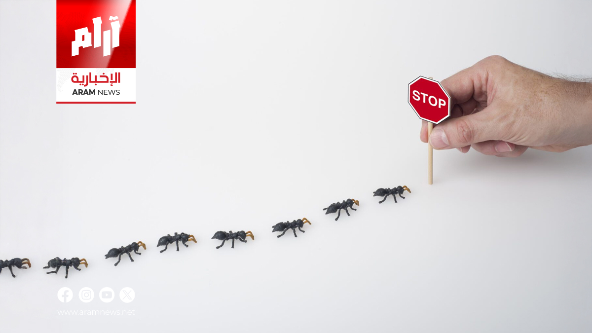 طرق طبيعية فعّالة للتخلص من النمل في المنزل دون استخدام المبيدات