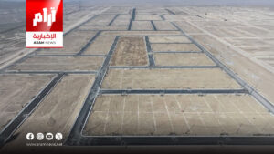 أمانة بغداد تُنجز العد والفرز في 7 مناطق ضمن خطة تمليك الأراضي الزراعية