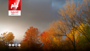 طقس العراق.. أجواء غائمة واستقرار في درجات الحرارة