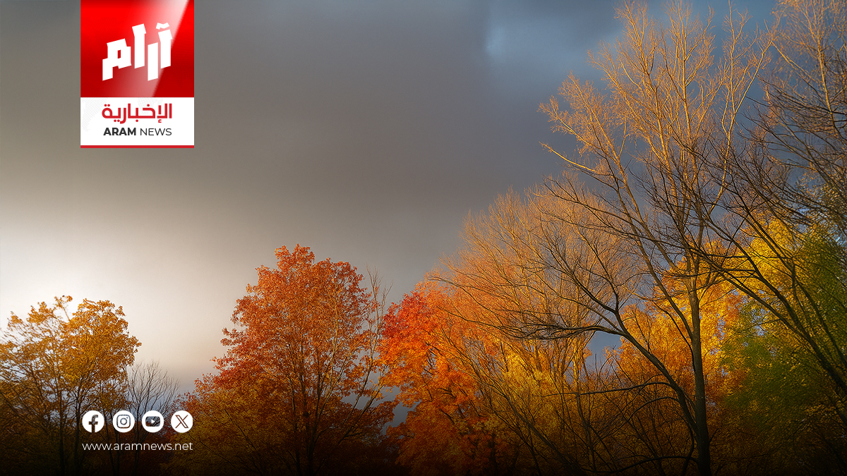 طقس العراق.. أجواء غائمة واستقرار في درجات الحرارة