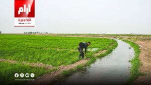 الزراعة العراقية تطلق خطتها الشتوية وسط شحّ المياه وتراجع الإطلاقات المائية