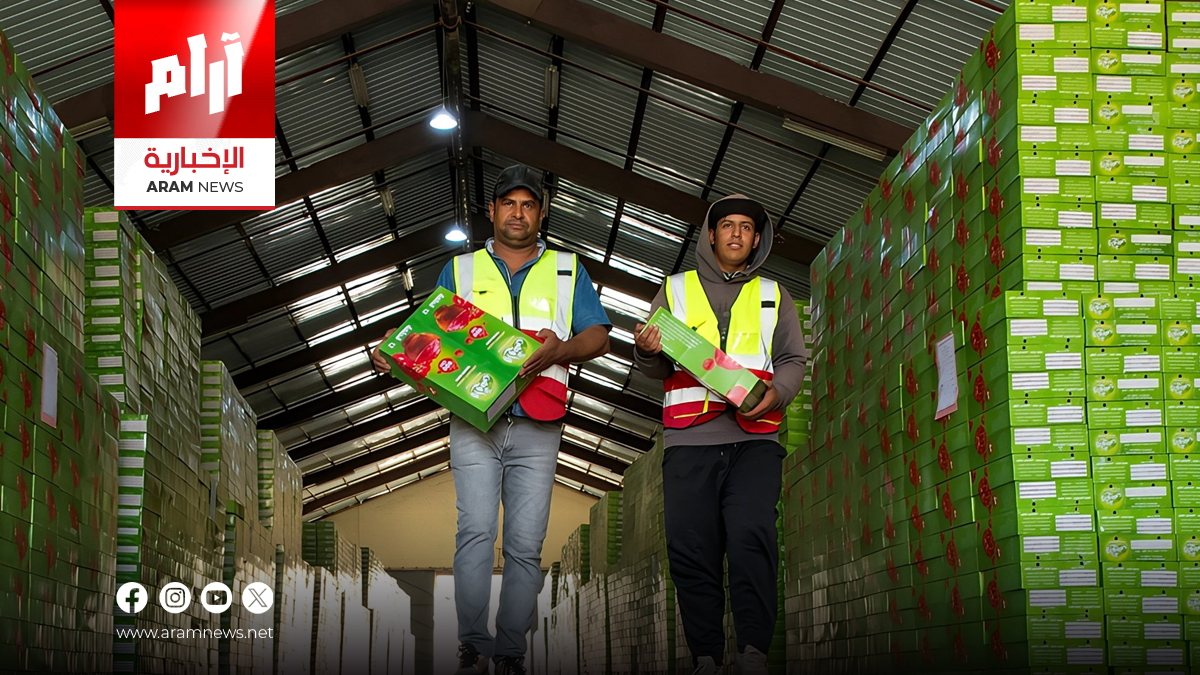 التجارة تكشف منظومة تخزين استراتيجية تكفي العراق بمواد غذائية لمدة ستة أشهر