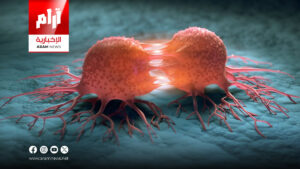 بحث جديد يكشف تأثير الرياضة على تغذية الخلايا السرطانية