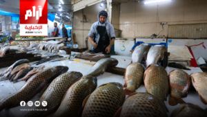 العراق يدرس تصدير الأسماك النهرية والزراعة تحدد الشروط